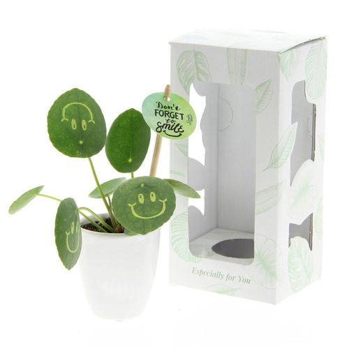 Smylieplant ceramic pot - Image 2